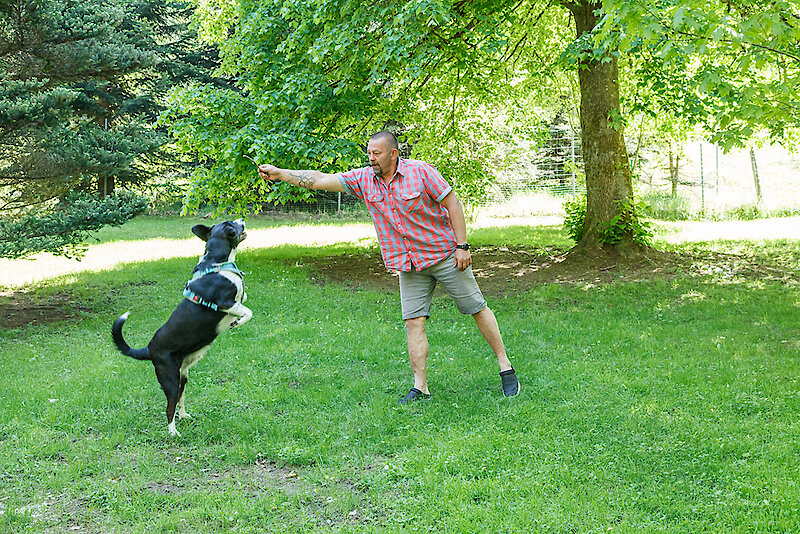 Urlaub mit Hund im Bayerischen Wald